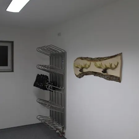 アパート Alpinjuwel In ヒパッハ